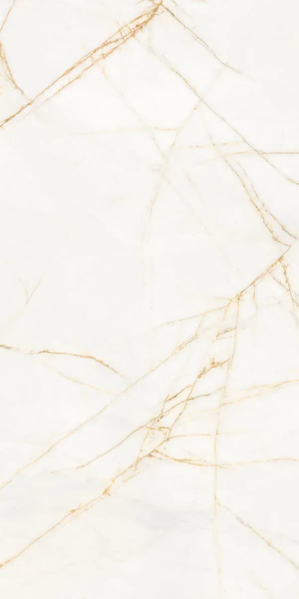 Керамогранит PF60017518 Supreme Hedonism Golden Spider Nat R 60x120 — фото 13