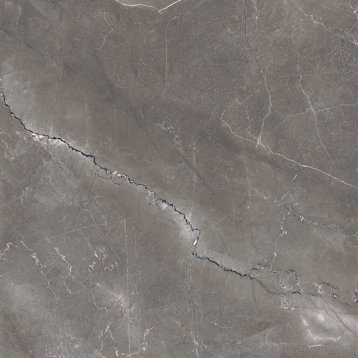 PULPIS NERO — фото 10