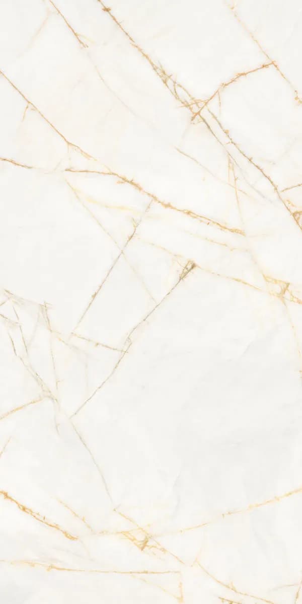 Керамогранит PF60017518 Supreme Hedonism Golden Spider Nat R 60x120 — фото 17