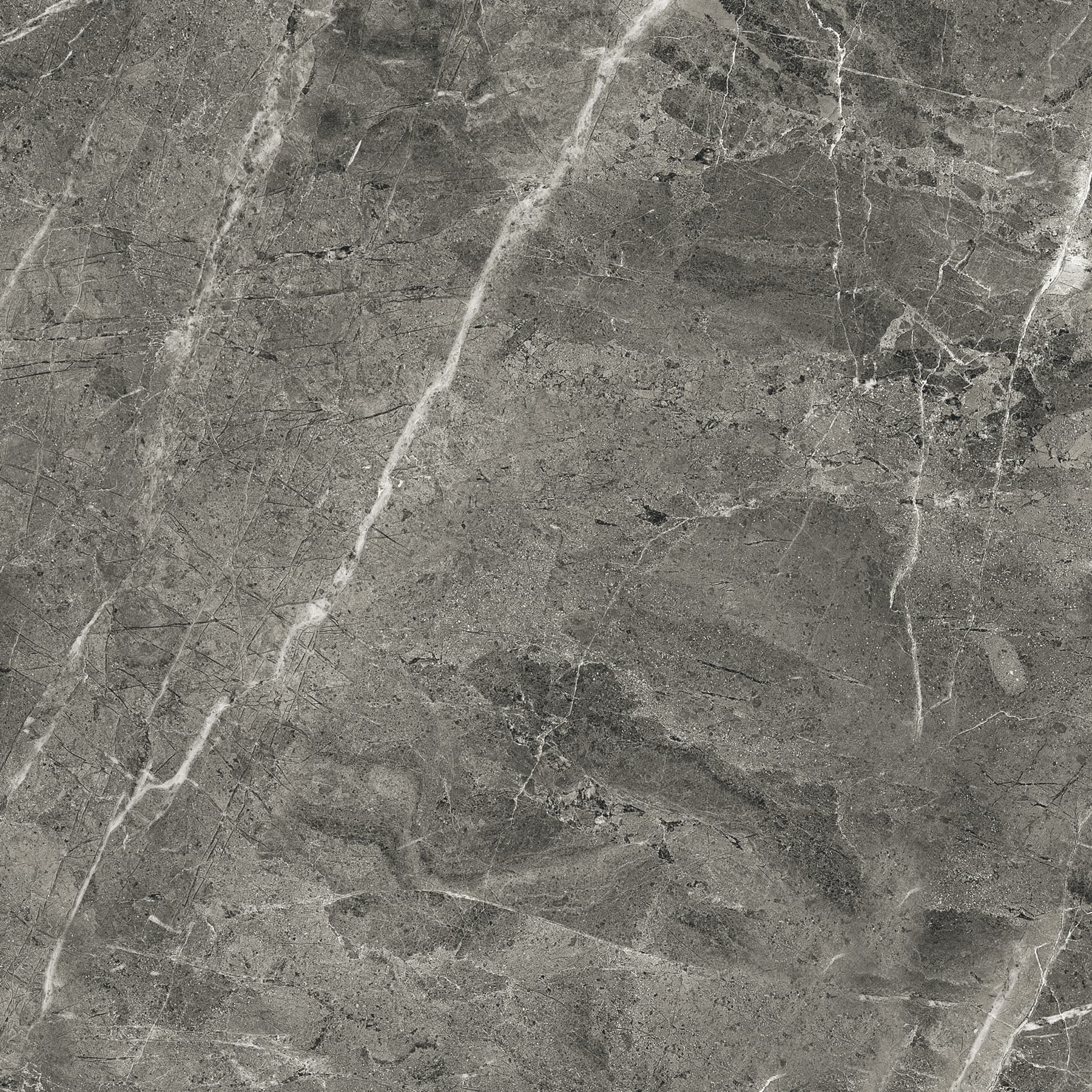 FLORENCIA GREY — фото 7