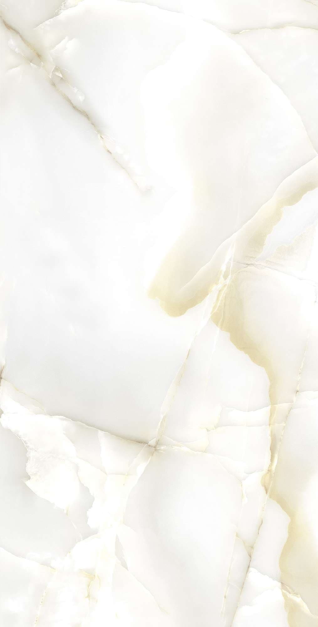 PRIMO ONYX — фото 7