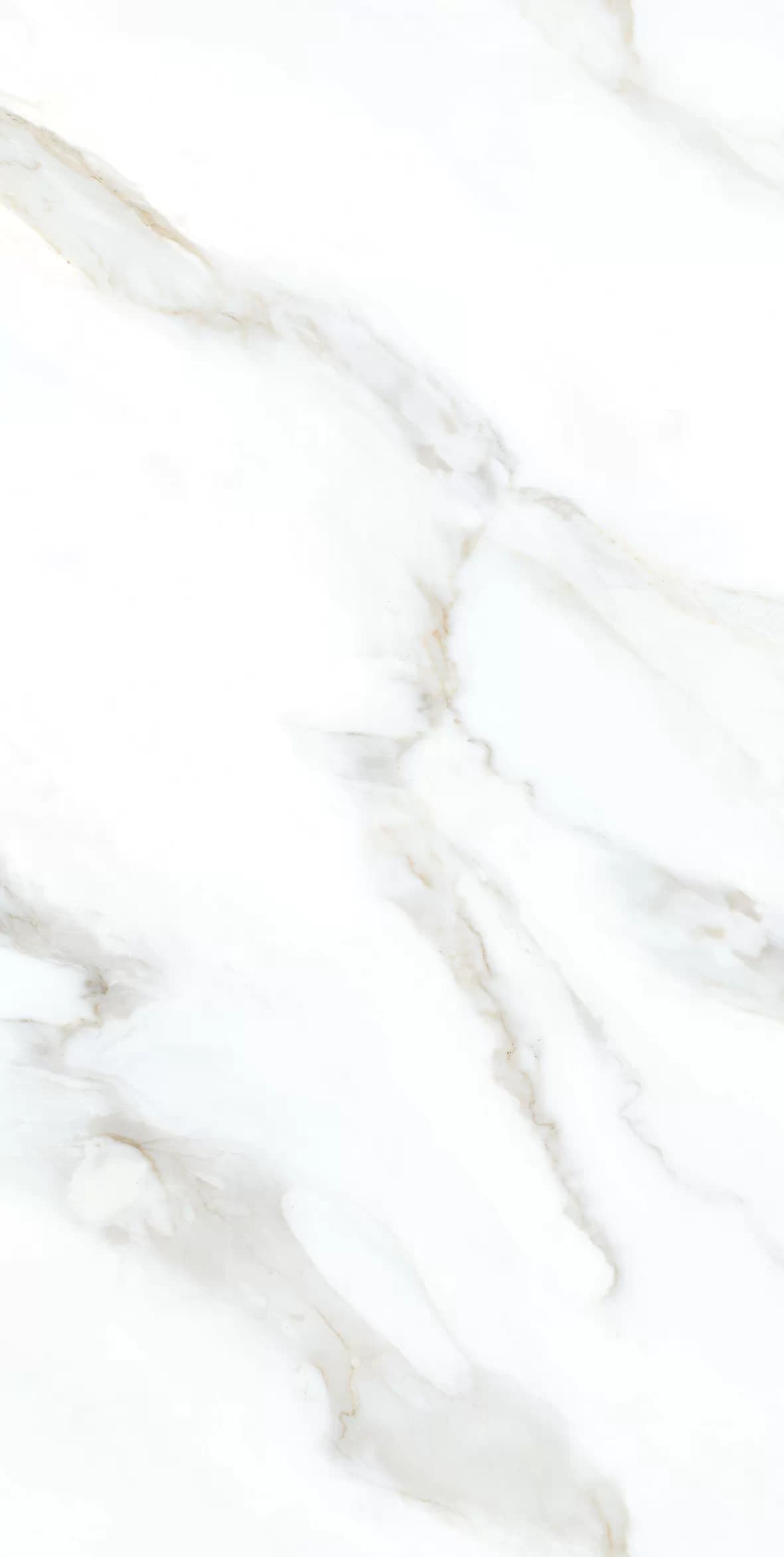 Керамогранит Clear White Grit Granula 60x120 — фото 6