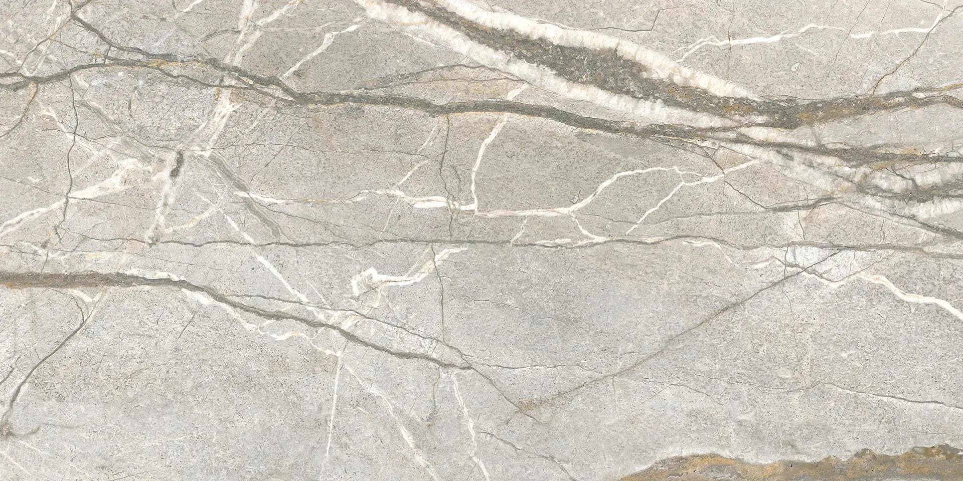 Керамогранит PF60017241 Supreme Hedonism Silver Roots Lux 3D R 60x120 — фото 5