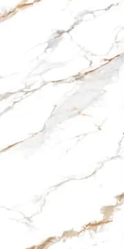 Керамогранит Delhi Polished Gold Carving 60x120