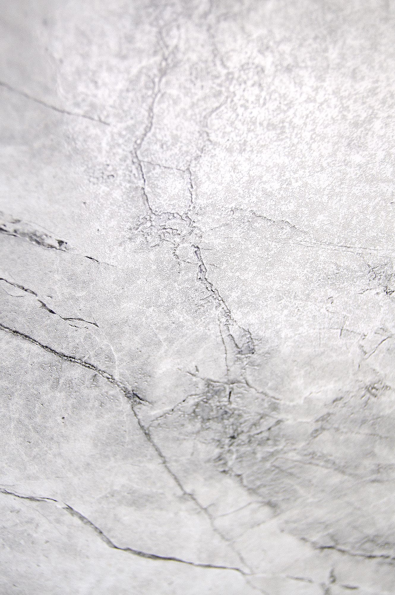 ARCTIC GREY LAPPATO — фото 9