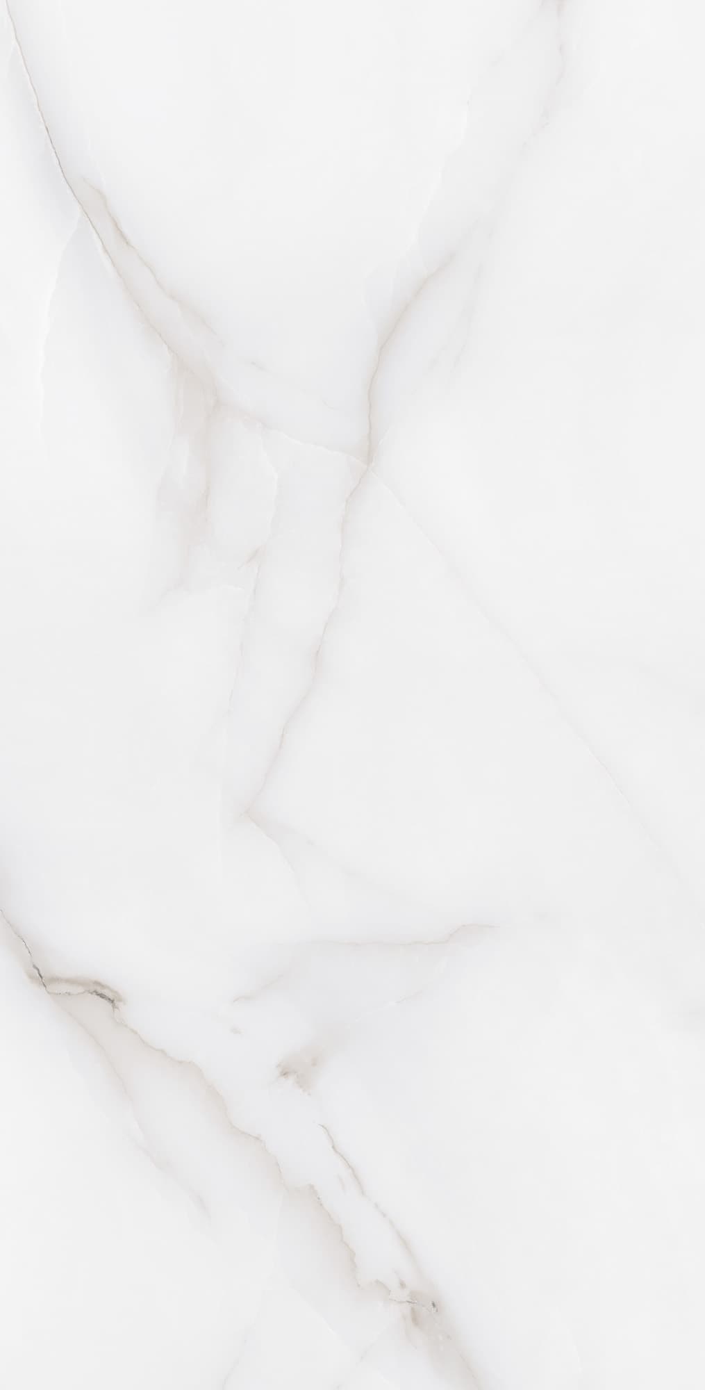 FEATHER ONYX — фото 6