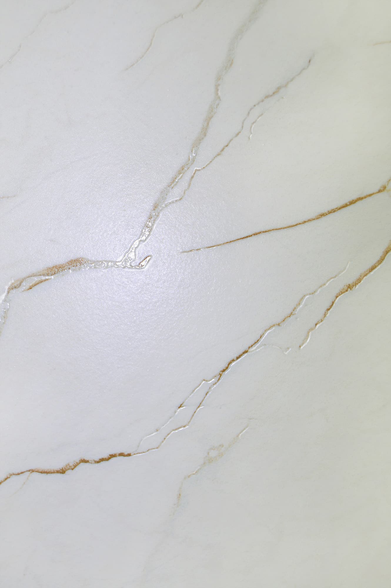 CEASAR — фото 13