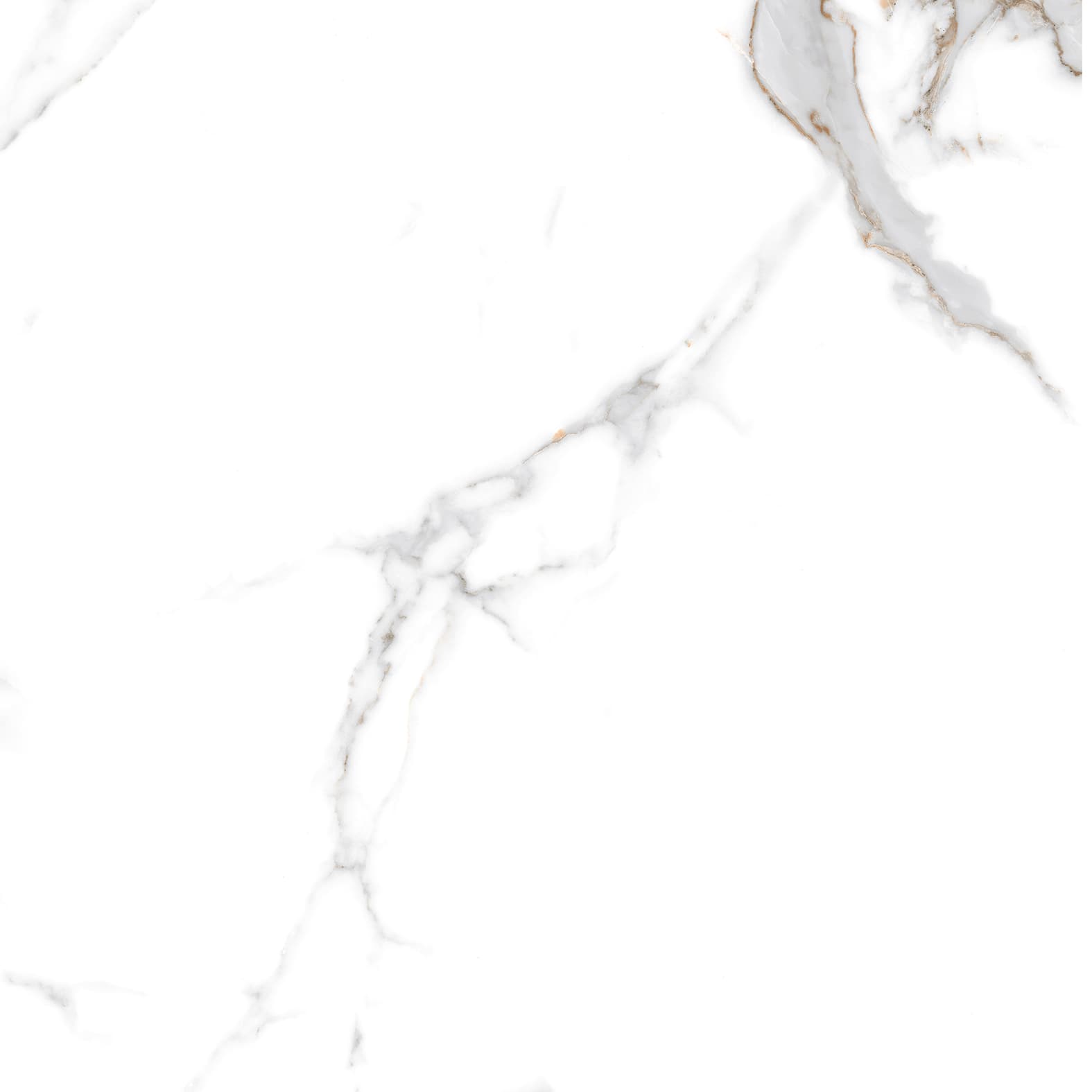 STATUARIO SEVILLE — фото 12