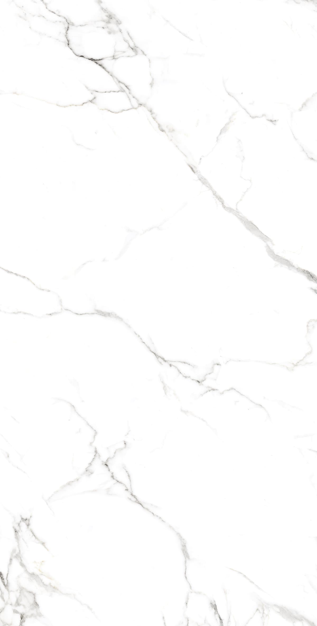 STATUARIO FINE — фото 4