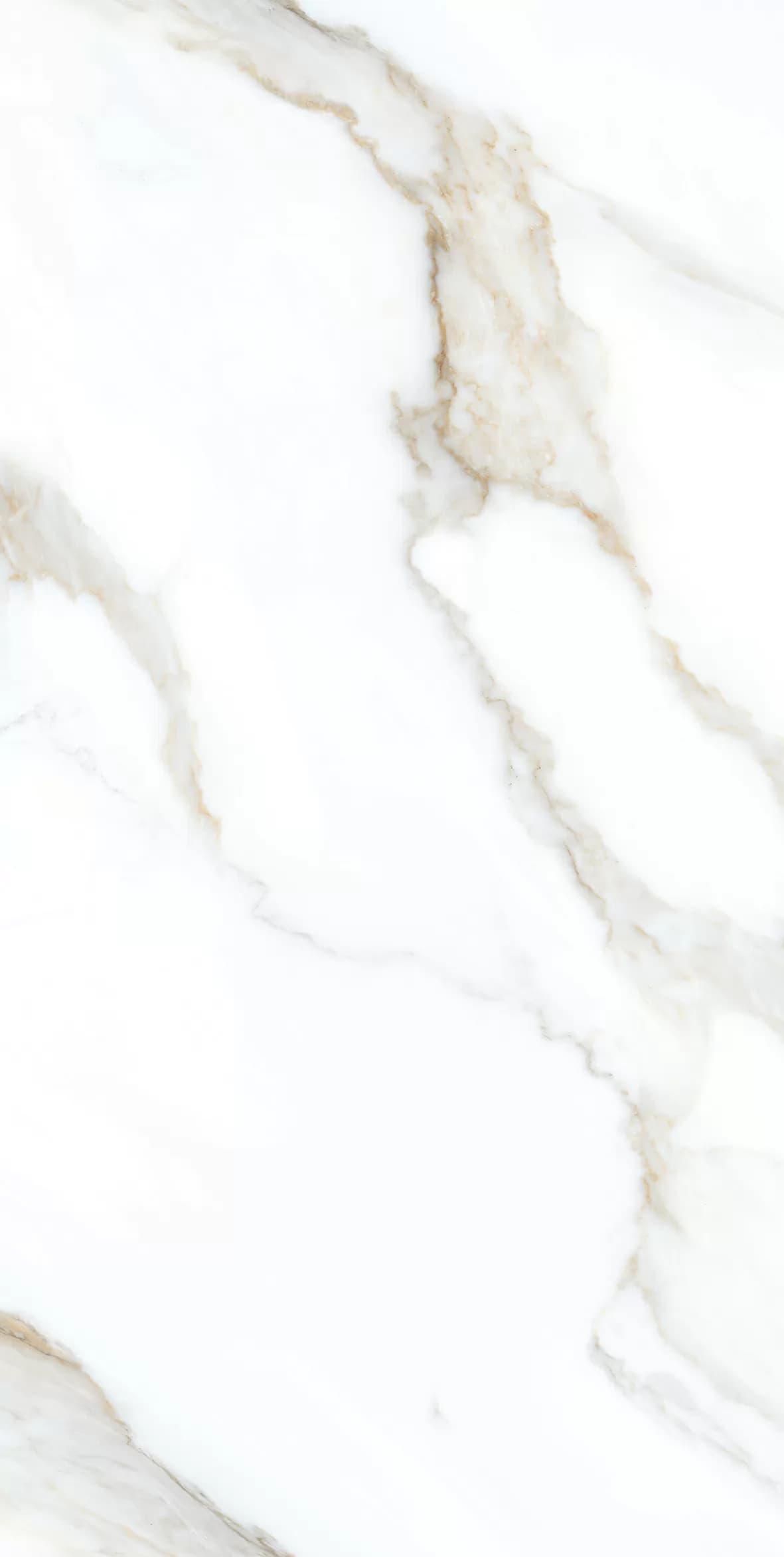 Керамогранит Clear White Grit Granula 60x120 — фото 3