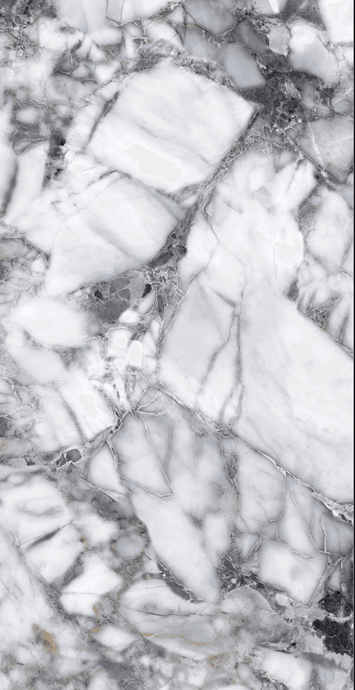 Керамогранит Canberra Polished Gold Carving 60x120