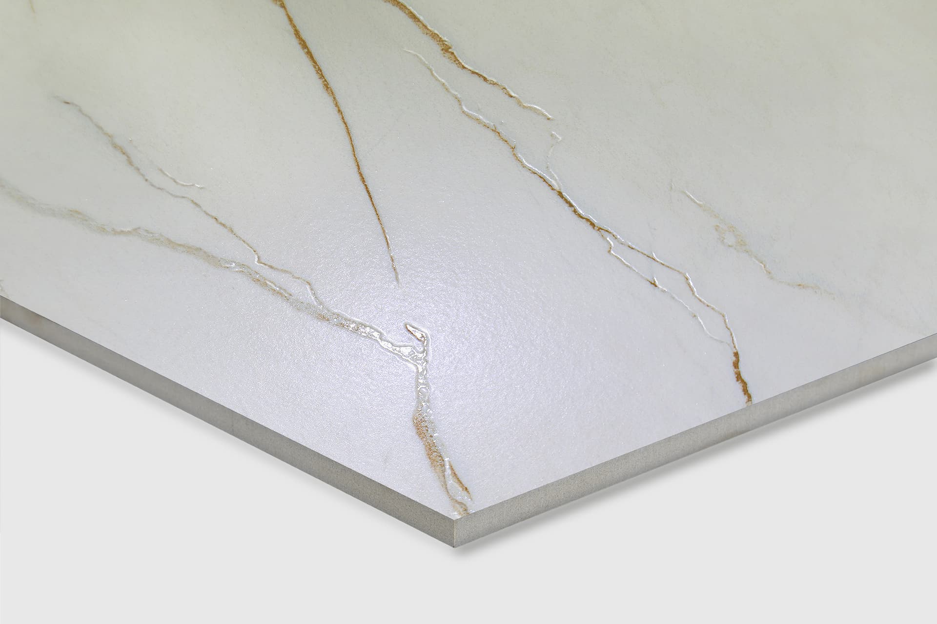 CEASAR — фото 14