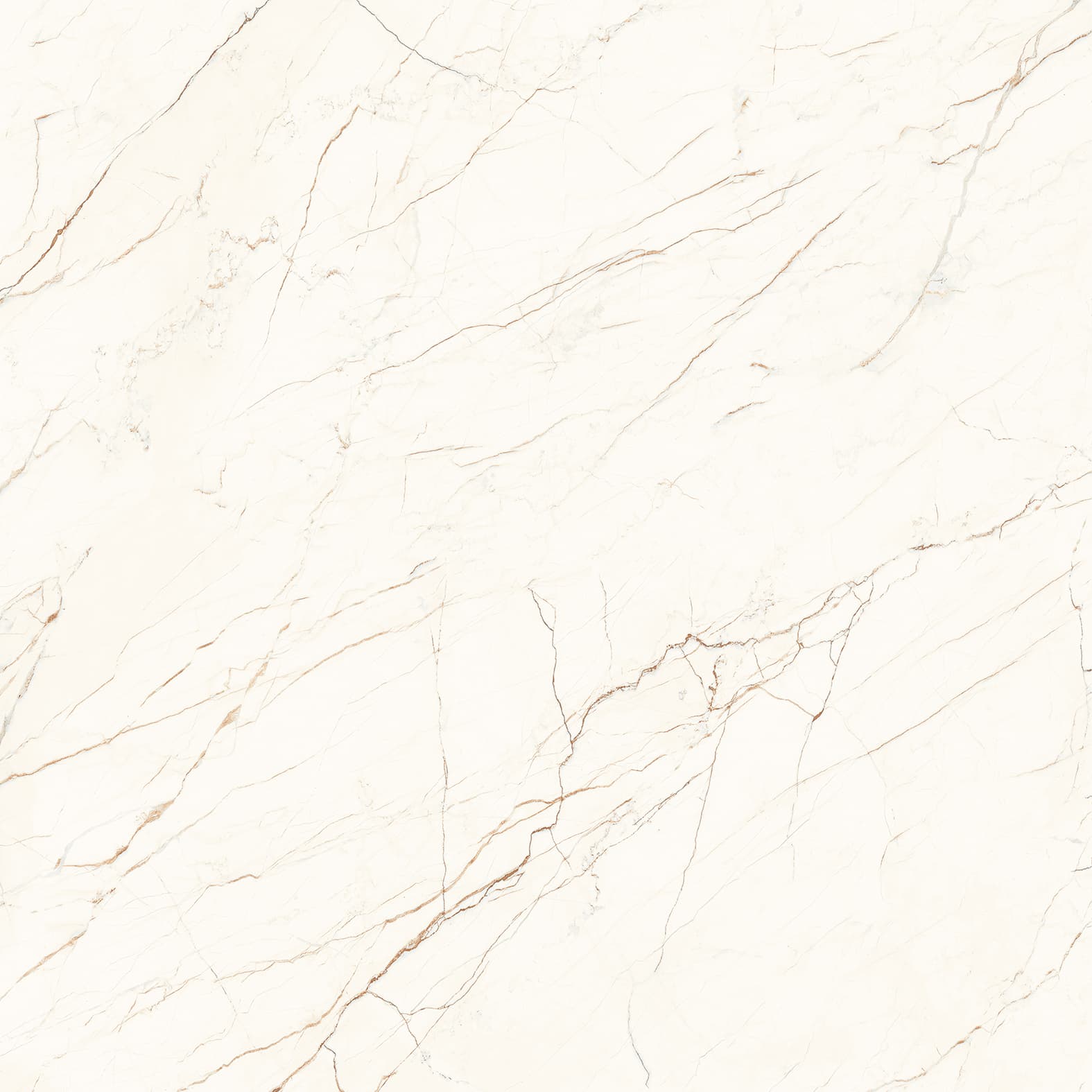 CEASAR — фото 5