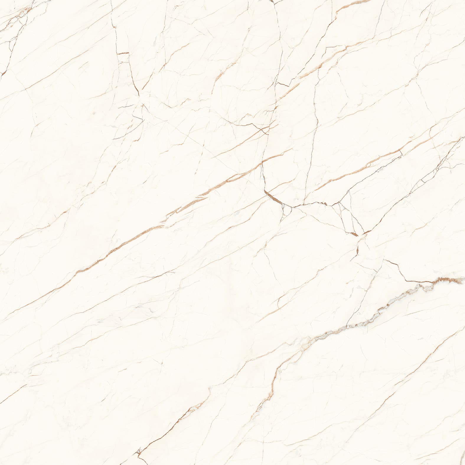 CEASAR — фото 3