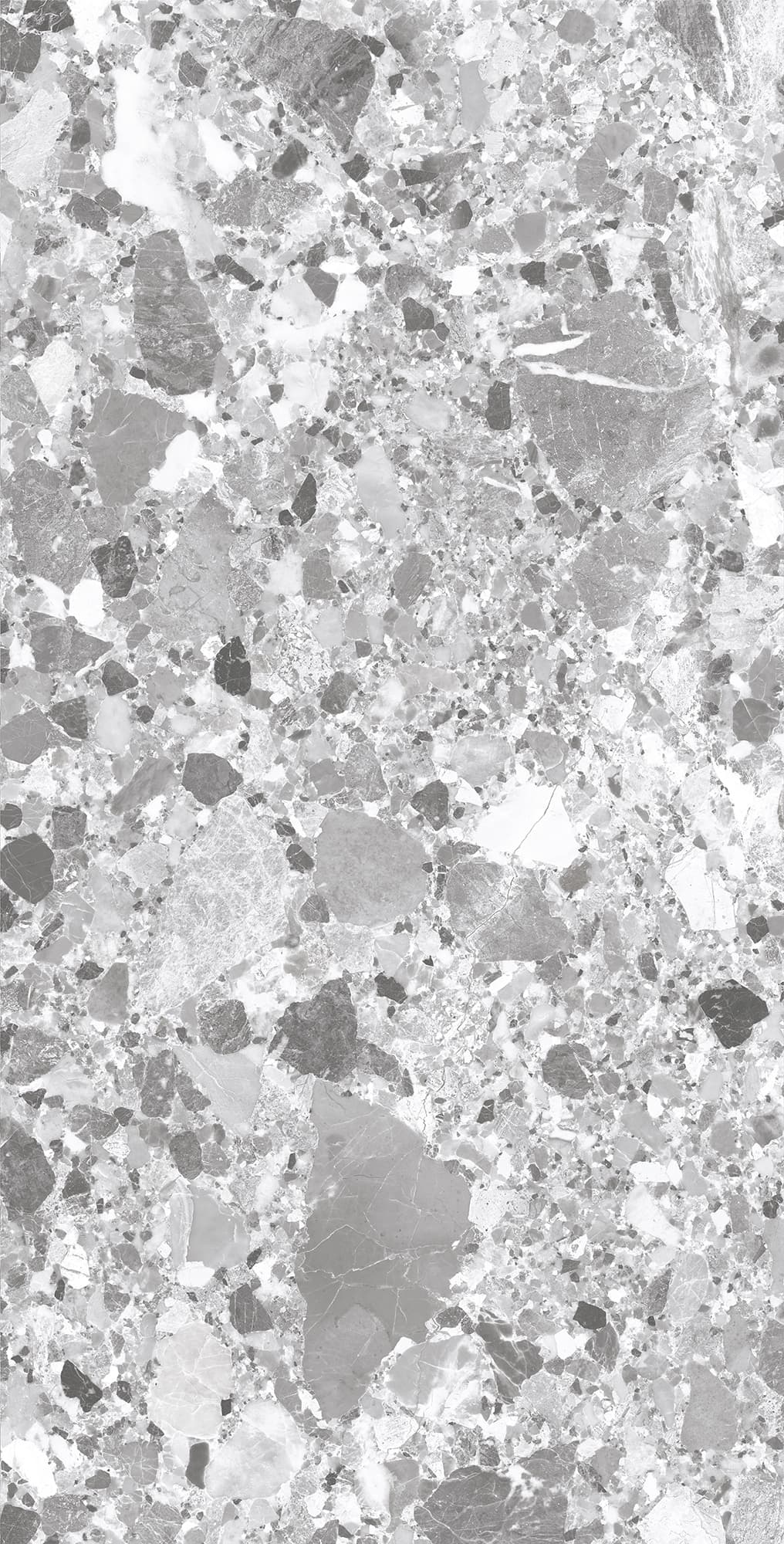 TERRAGONA SILVER SOLIDO — фото 5