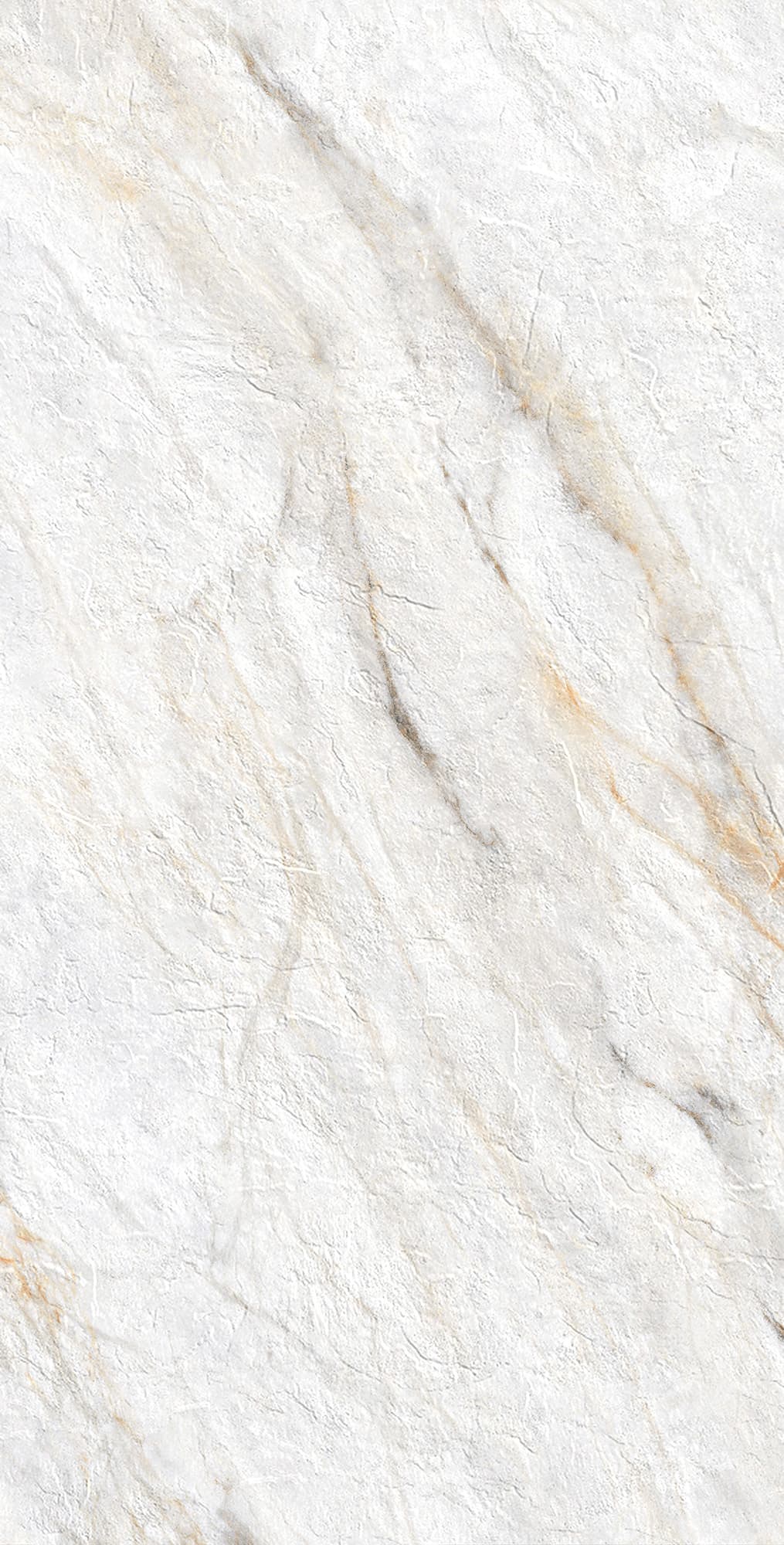 LAZIO PEAR — фото 5