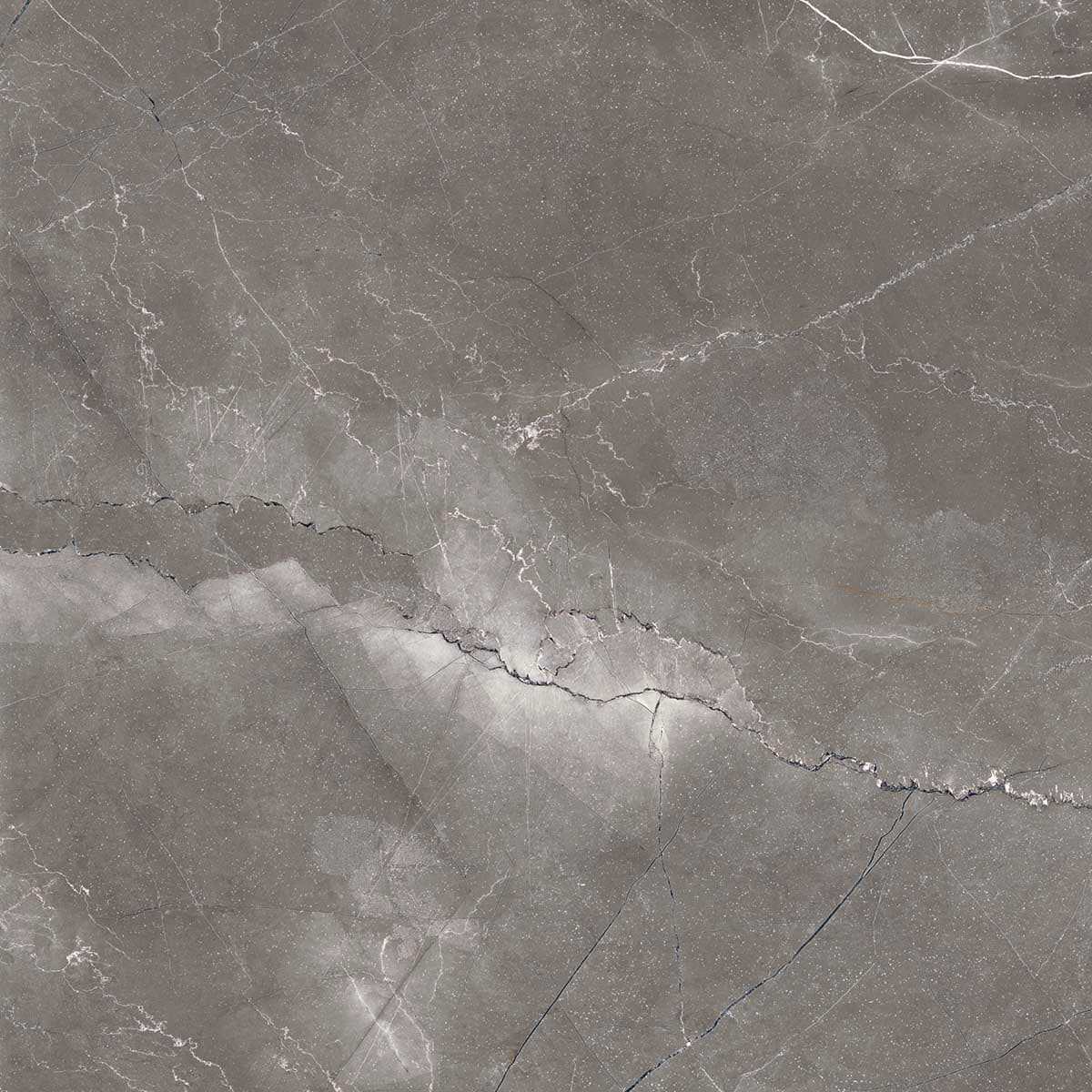 PULPIS NERO — фото 13