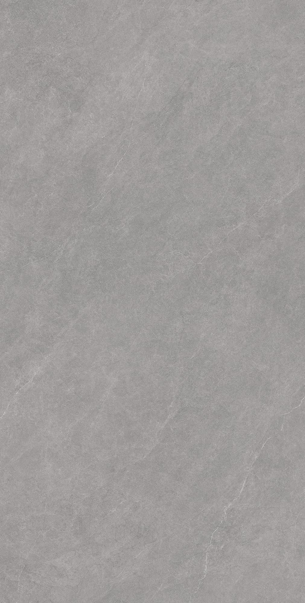 LISTELLO GRIS — фото 5