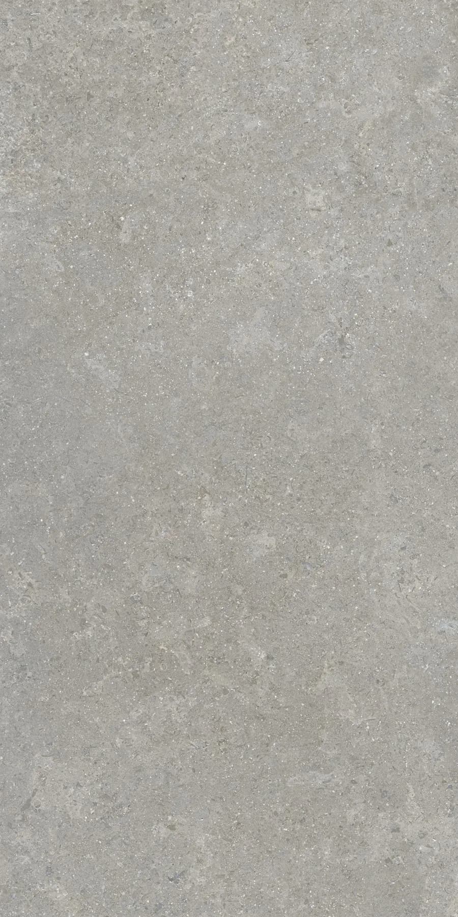 Керамогранит K948634R0001VTER SandStone Серый Матовый R10A Ректификат 60х120 — фото 4