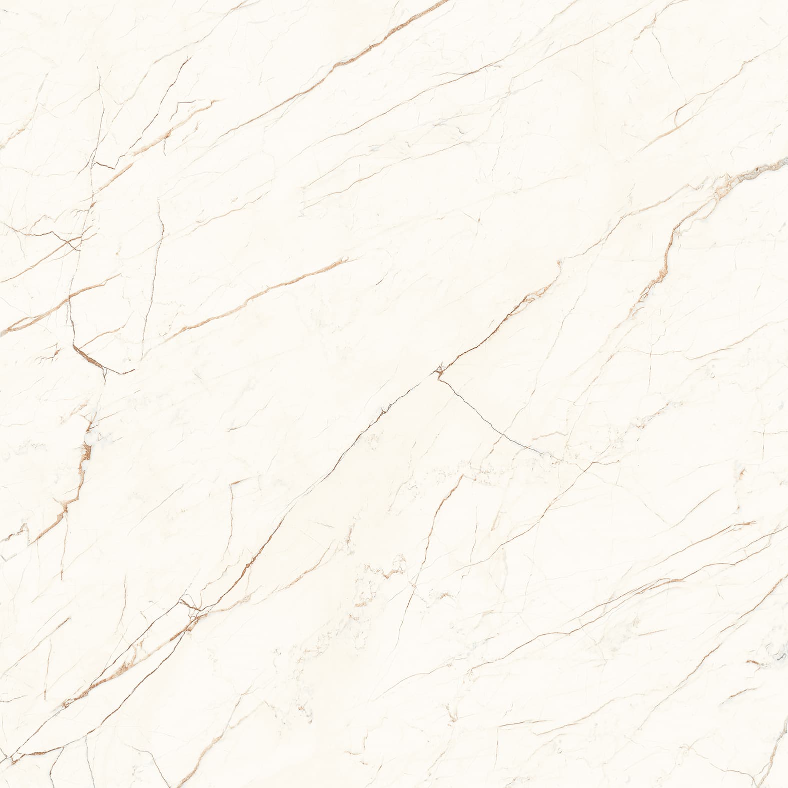 CEASAR — фото 11