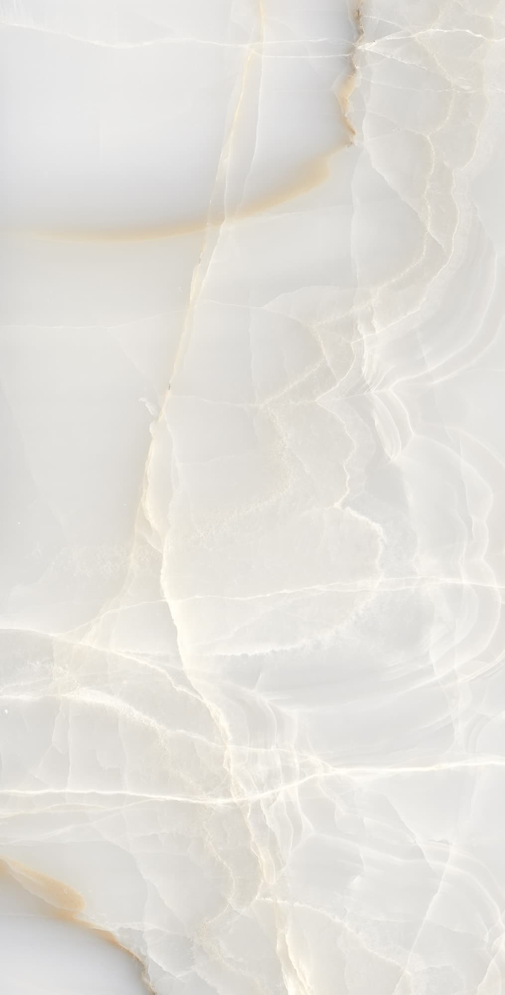 ONYX MAX — фото 3