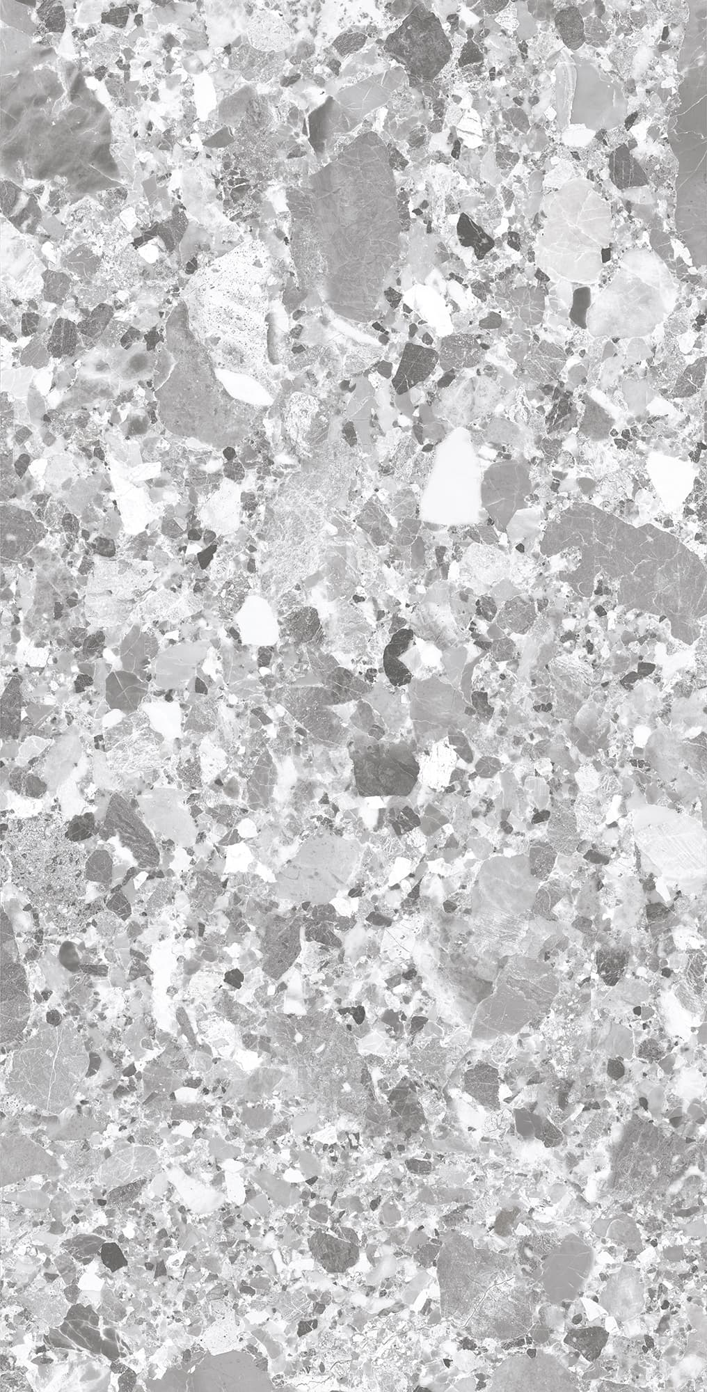 TERRAGONA SILVER SOLIDO — фото 7