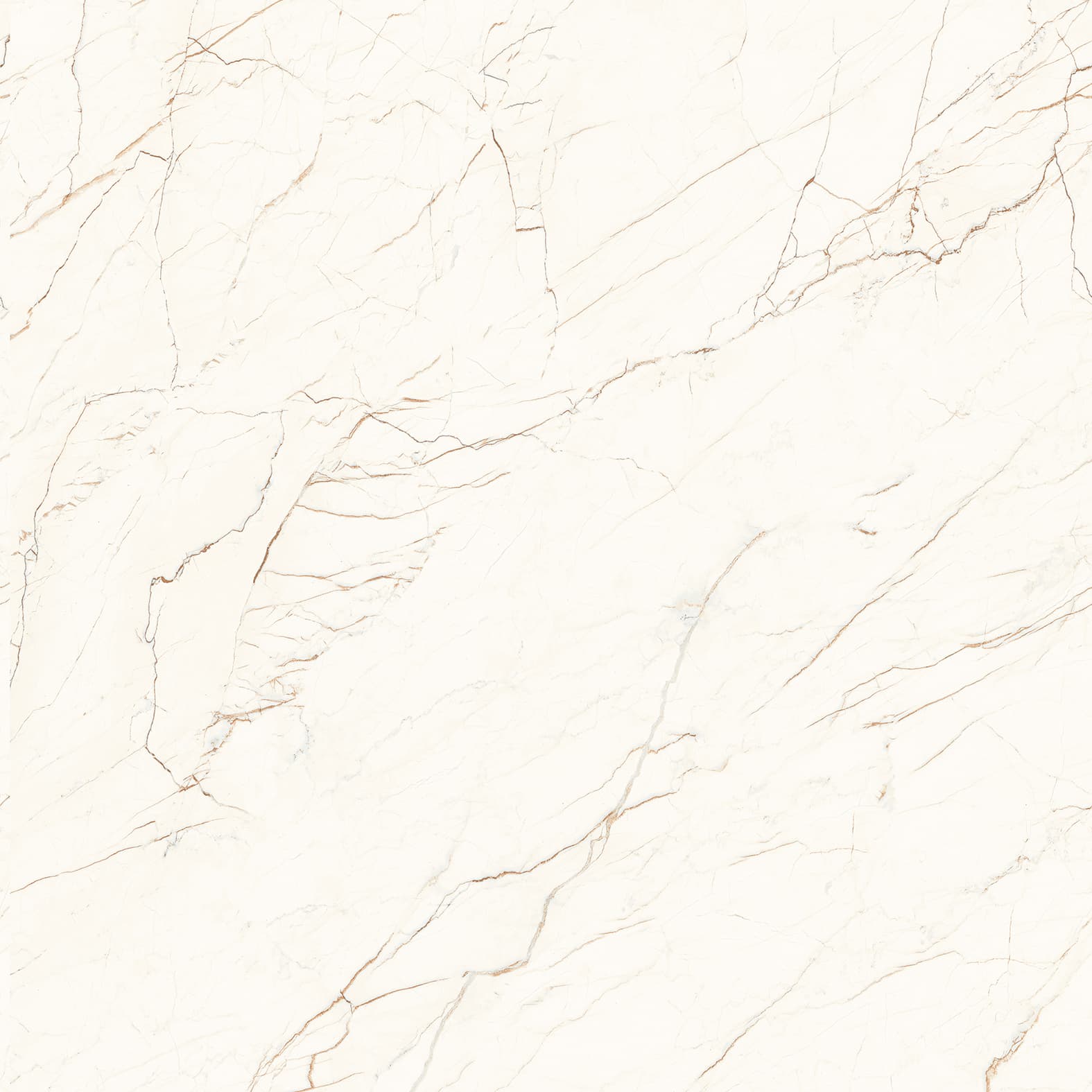 CEASAR — фото 12