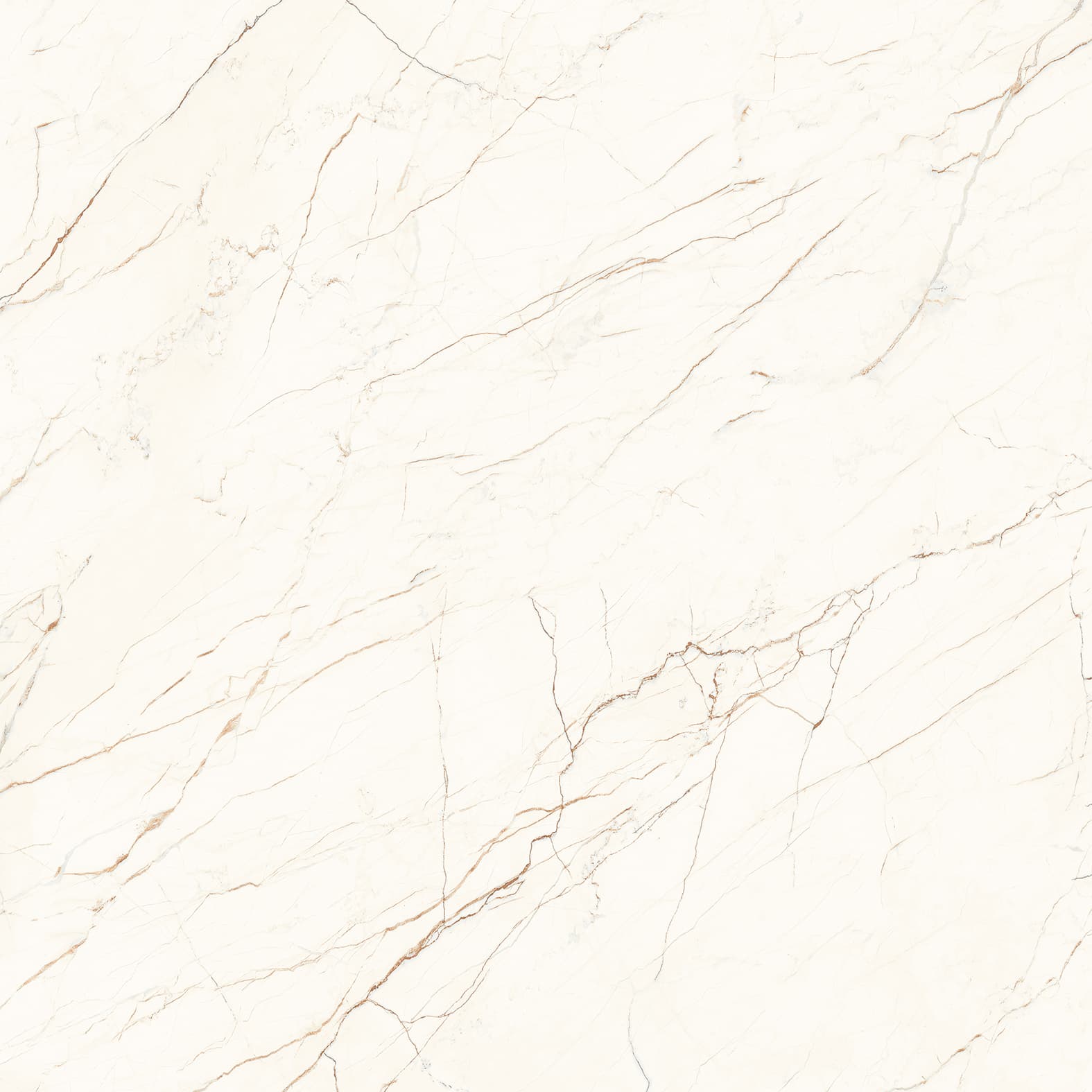 CEASAR — фото 8