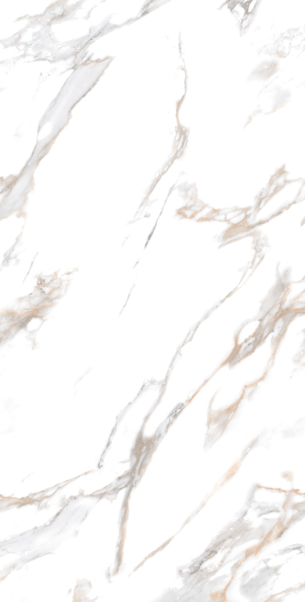 CALACATTA GOLD — фото 6