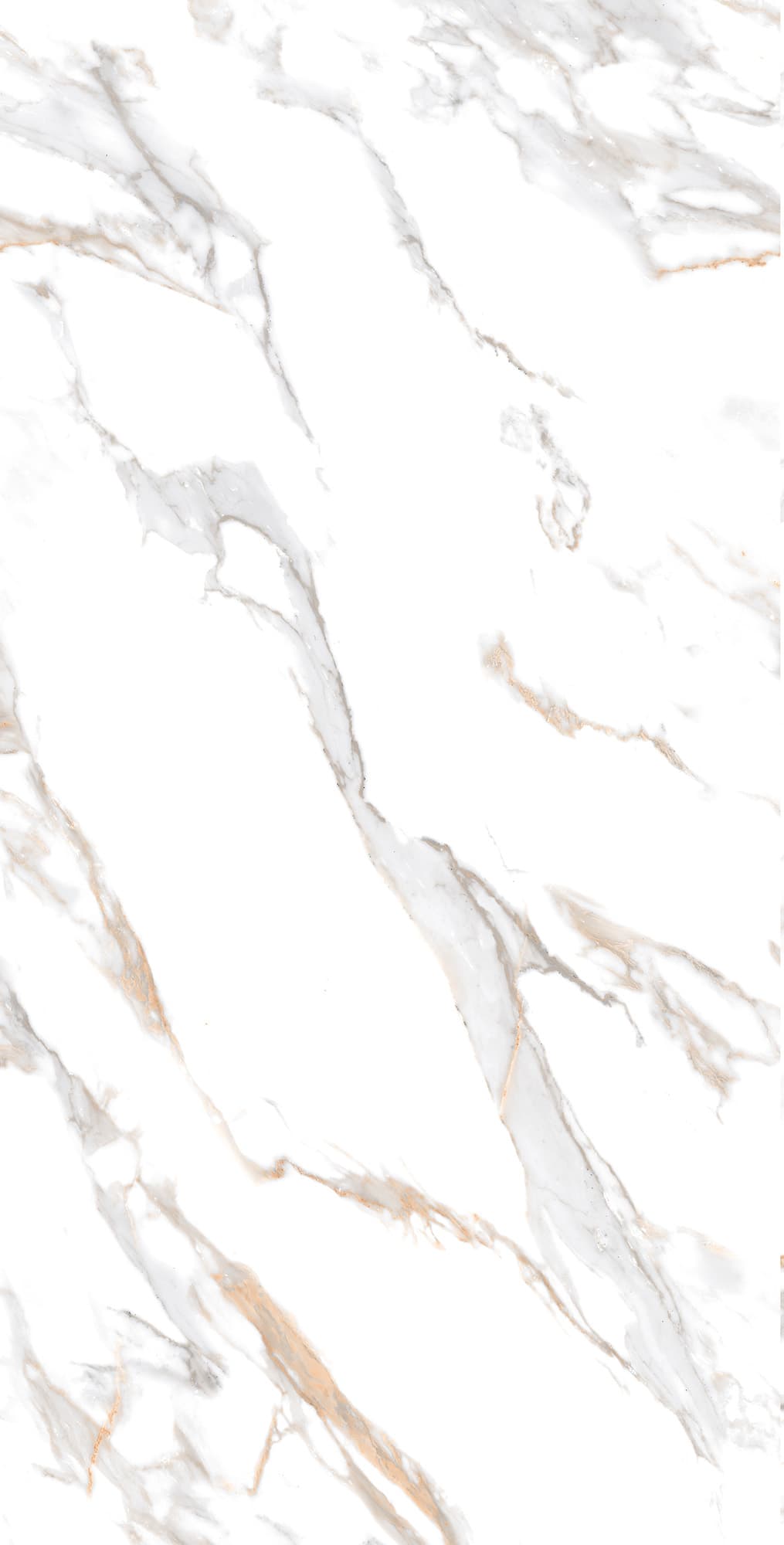 CALACATTA GOLD — фото 8