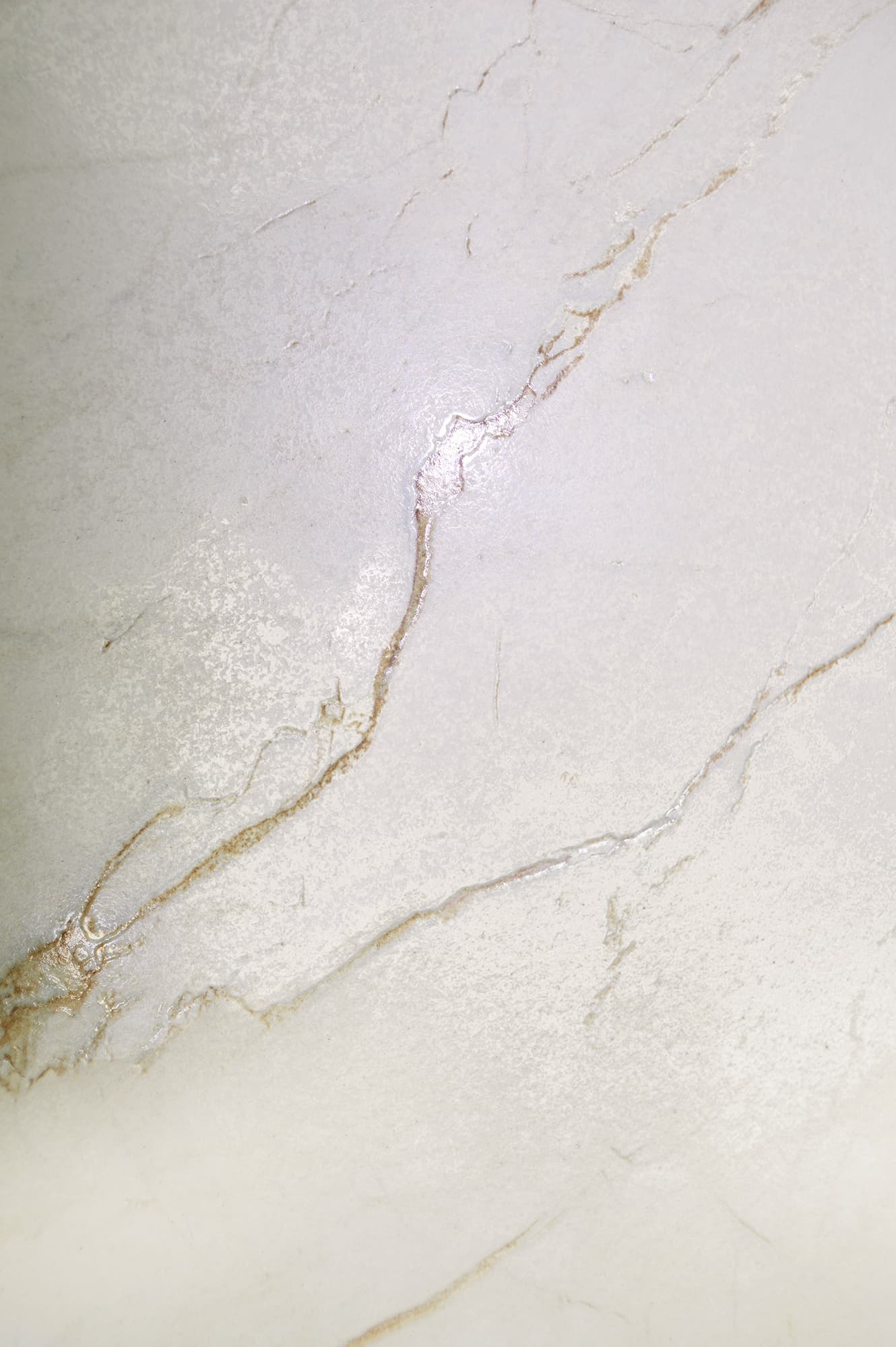 CEASAR LAPPATO — фото 11