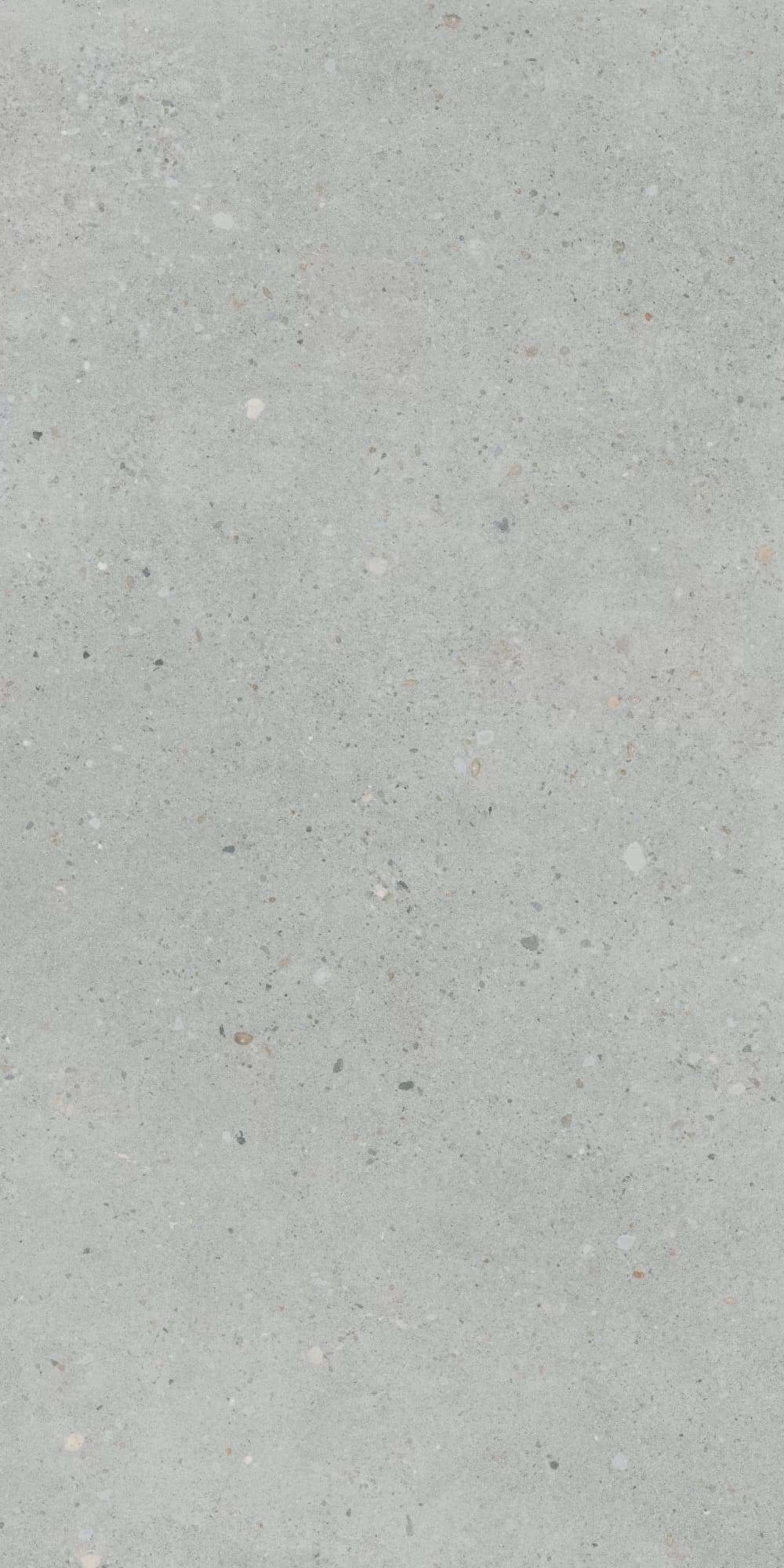 Керамогранит K947893R0001VTER Серый Матовый R10A Ректификат 60x120 — фото 10