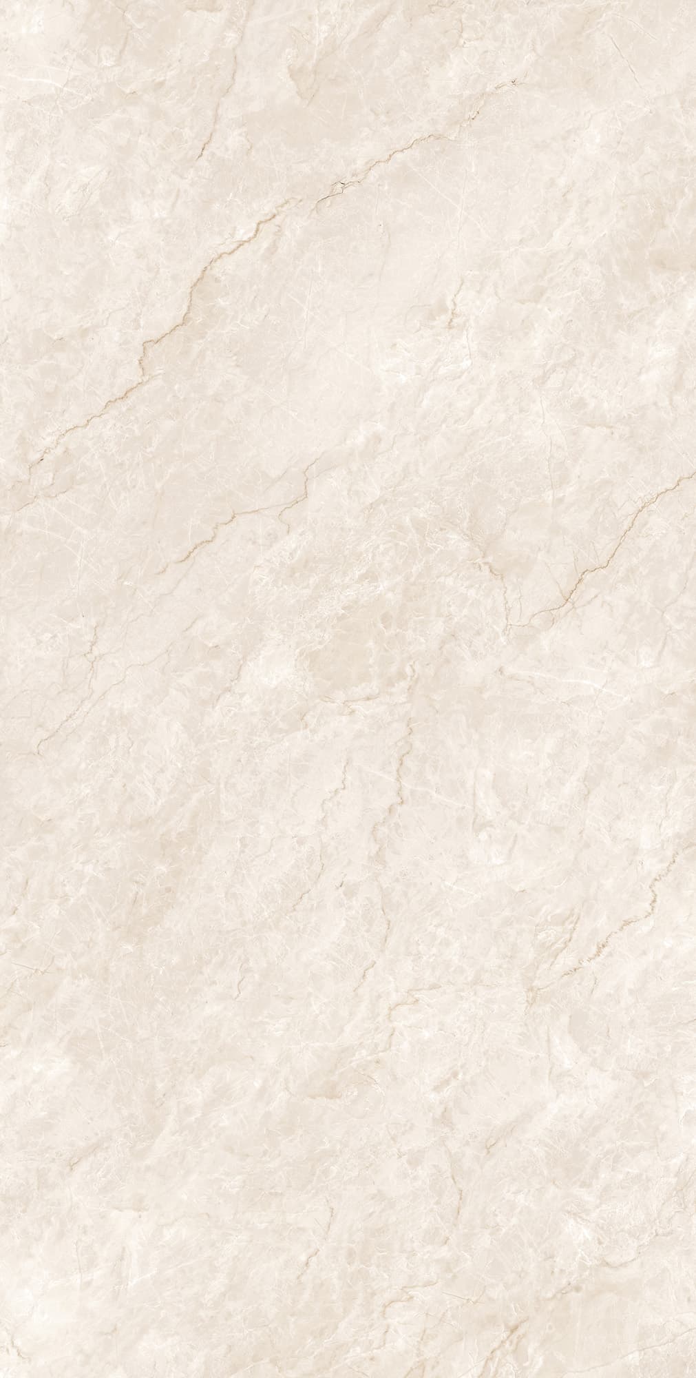 FERROL PEARL — фото 5