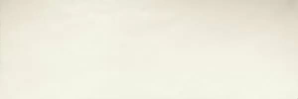 Плитка White Ret. 30x90 — фото 2