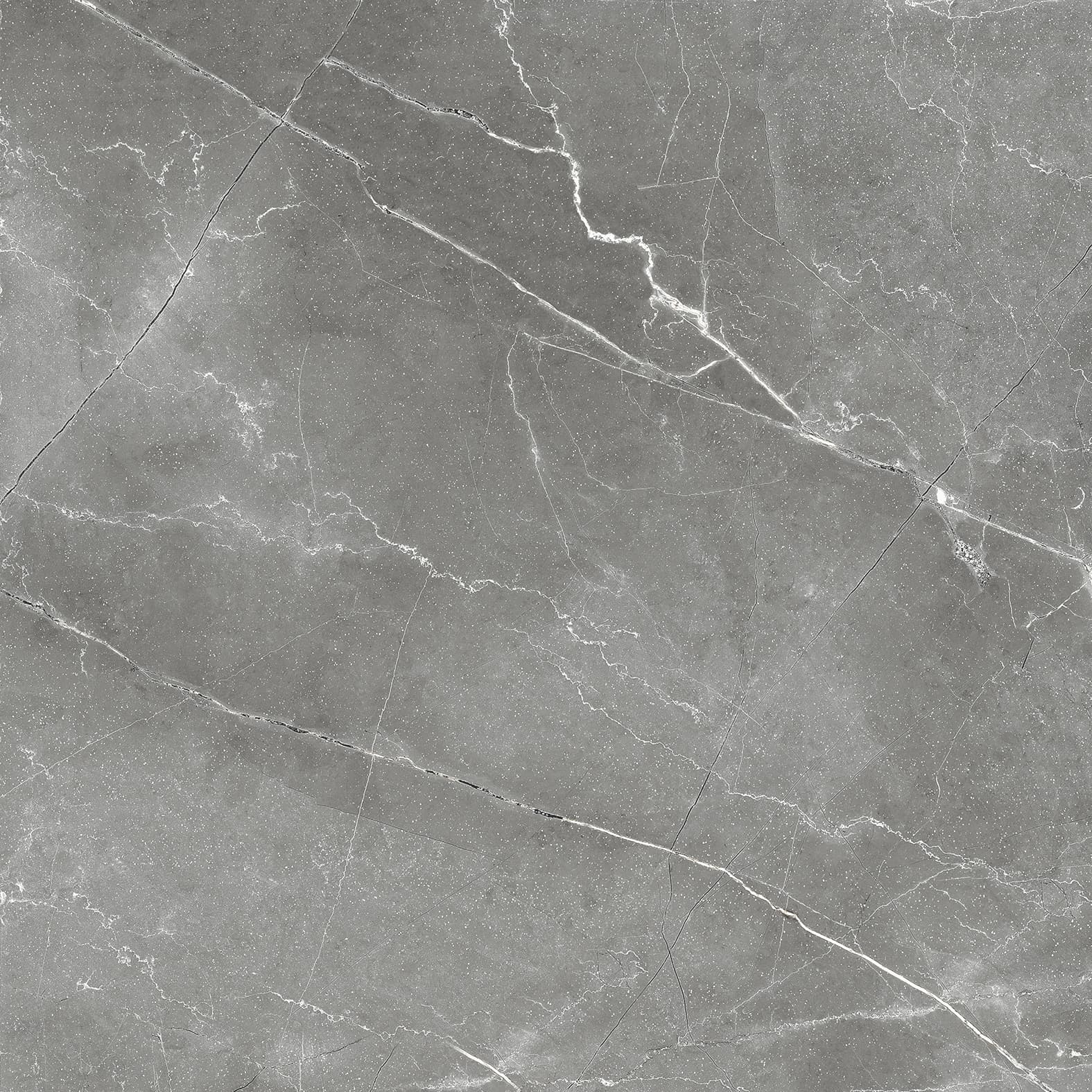 PULPIS NERO — фото 8