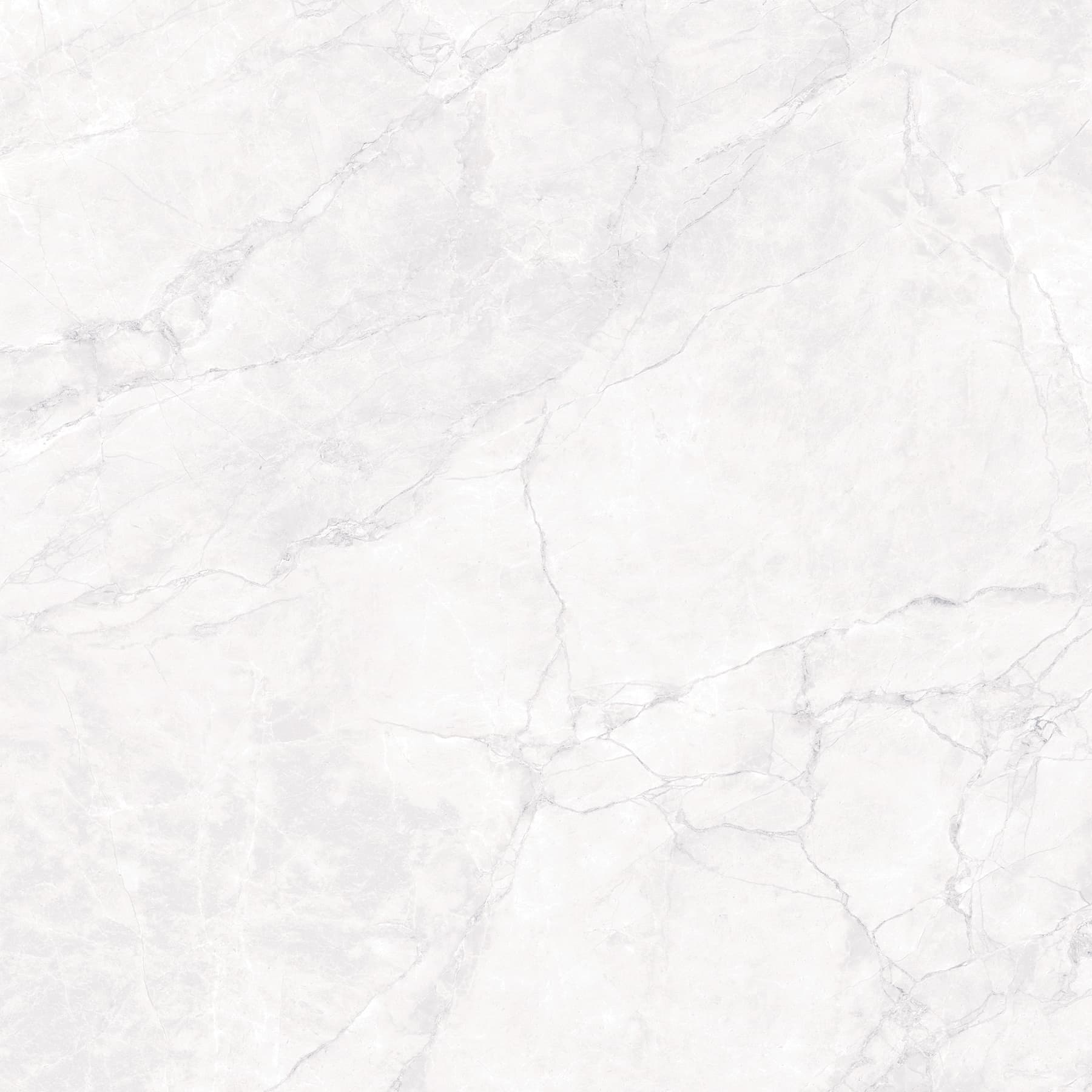 ARCTIC WHITE — фото 10