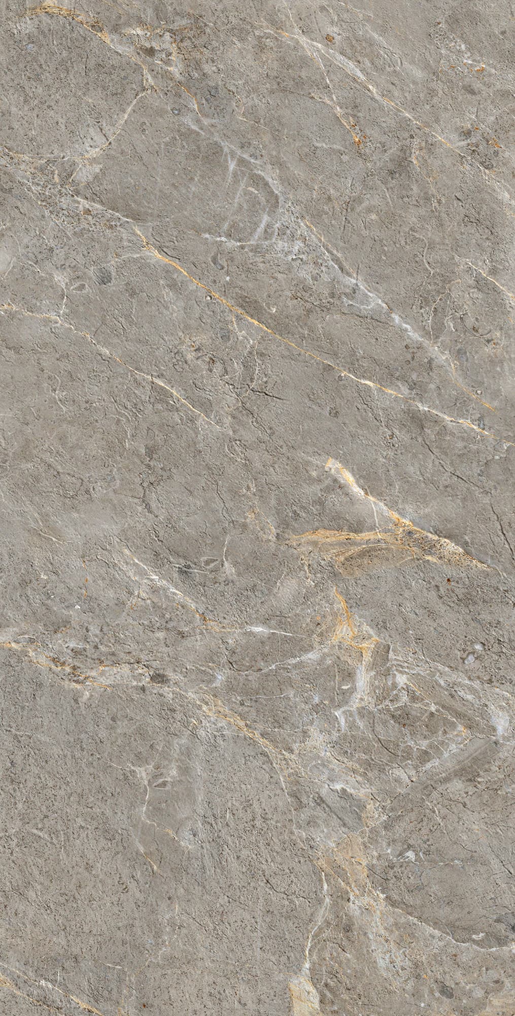 ROYAL GREY — фото 9