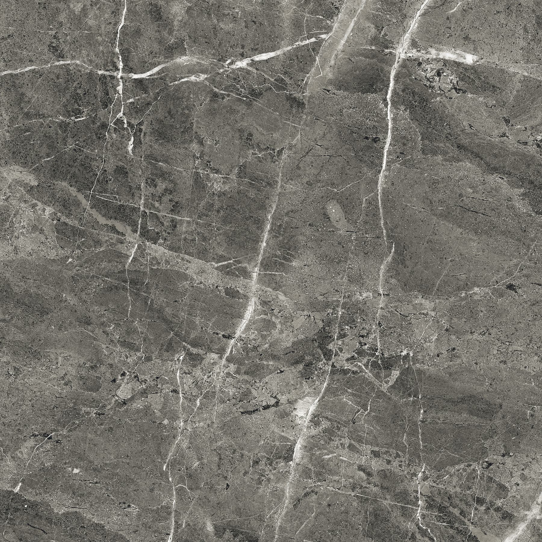 FLORENCIA GREY — фото 6