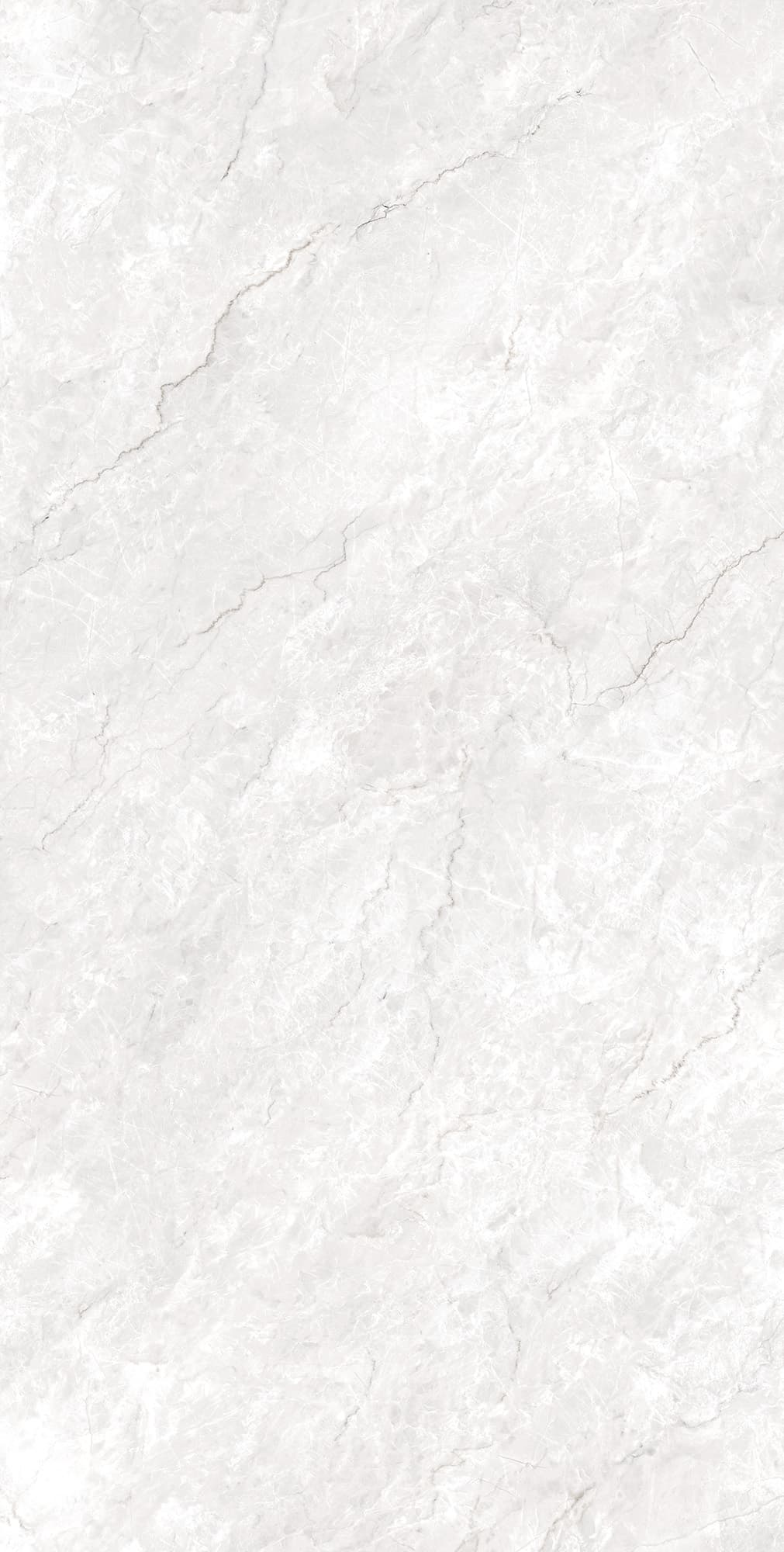 FERROL WHITE — фото 3