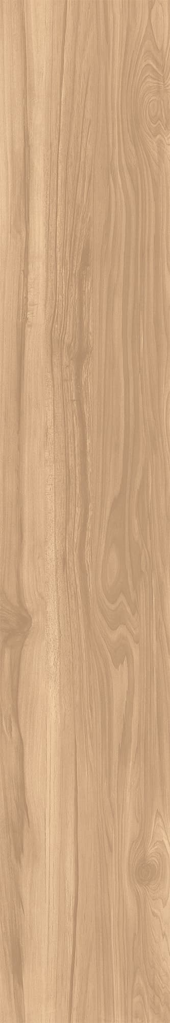 FOSSIL WOOD BRICH — фото 6