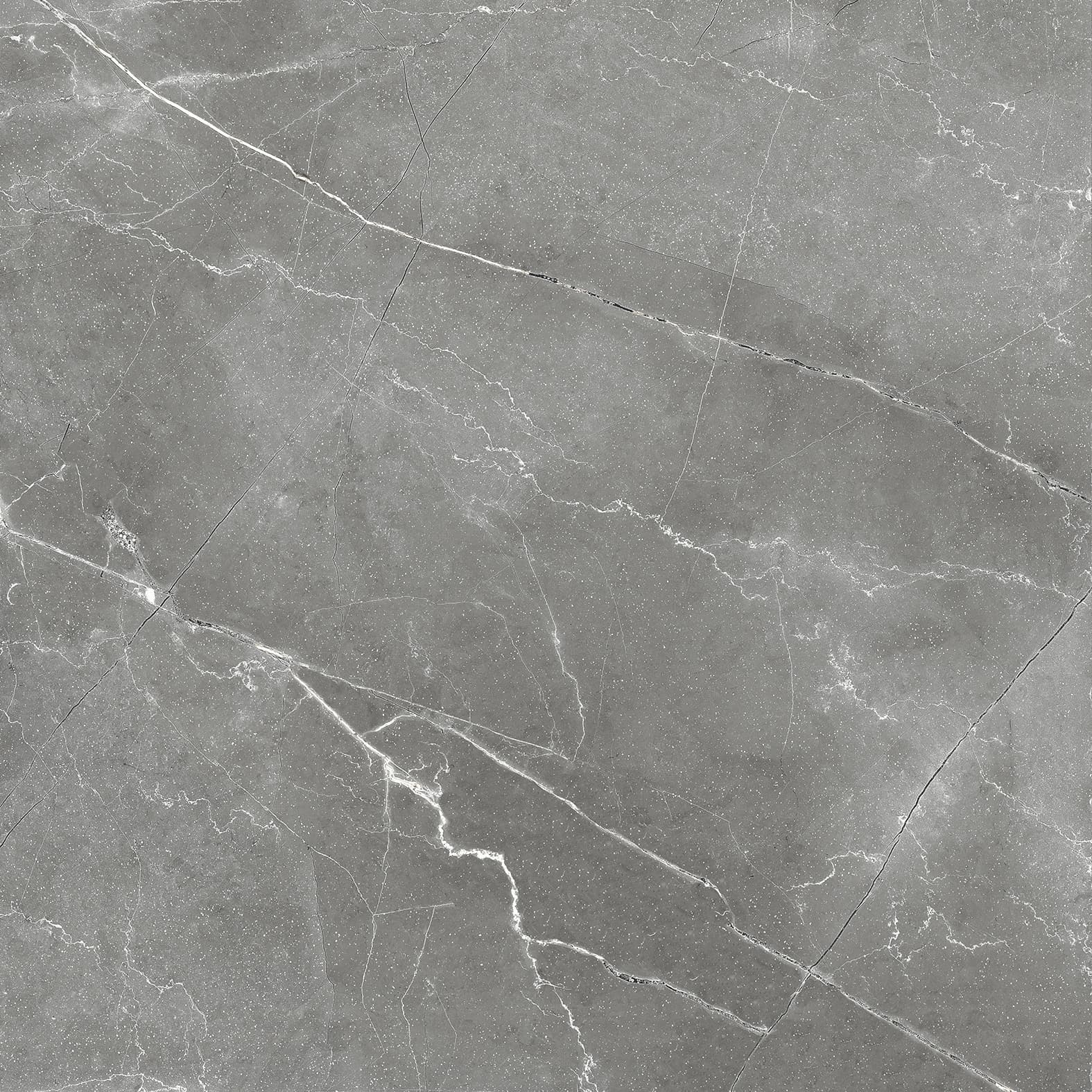 PULPIS NERO — фото 12