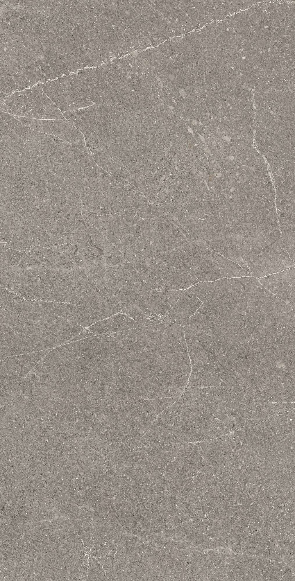 EQUISTONE GRAPHITE — фото 4