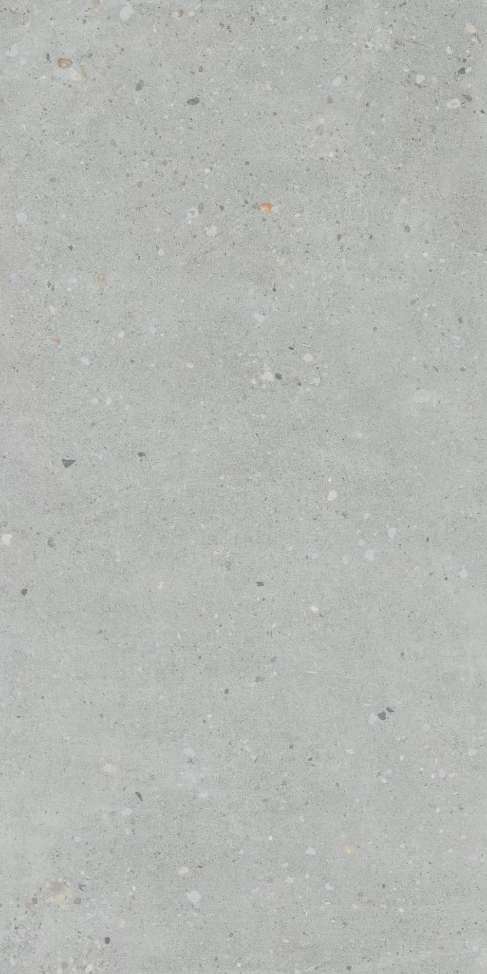 Керамогранит K947893R0001VTER Серый Матовый R10A Ректификат 60x120 — фото 6