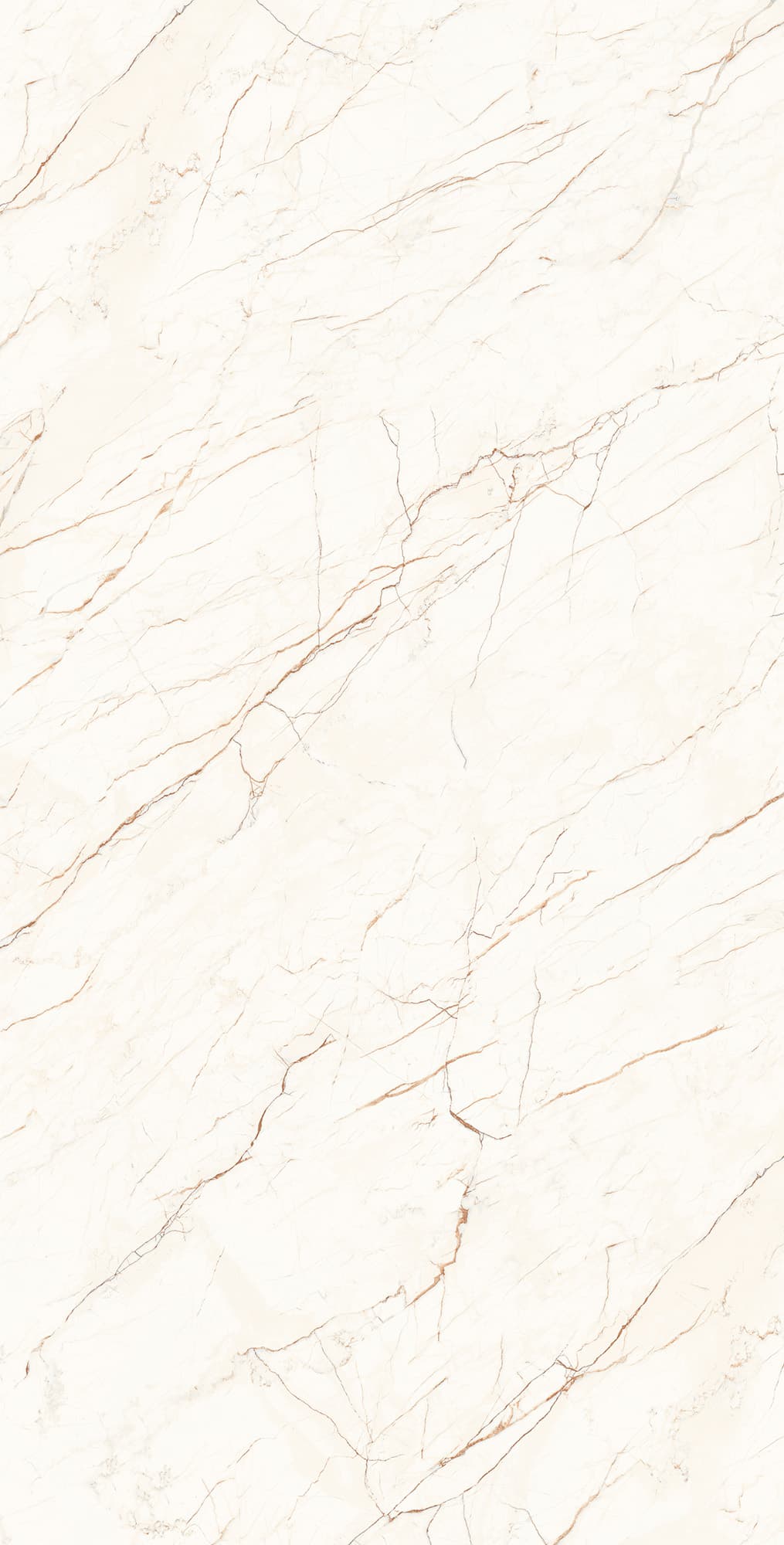 CEASAR LAPPATO — фото 8