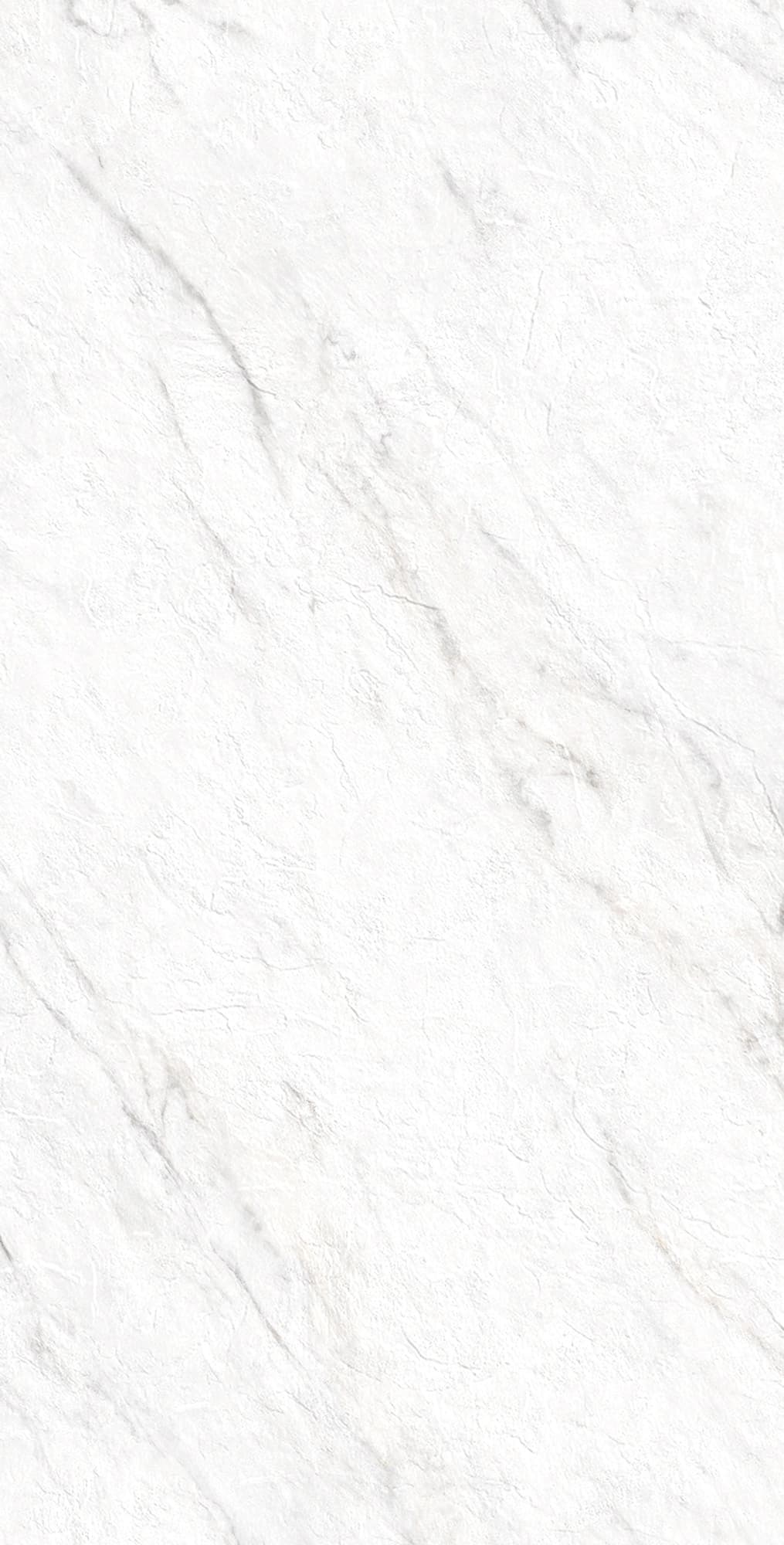 LAZIO BIANCO — фото 6