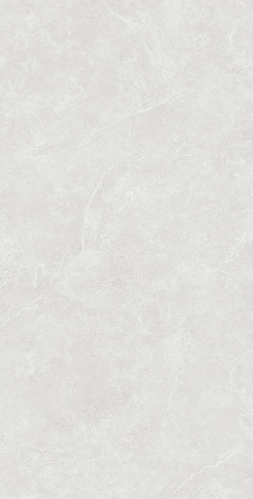 OVIEDO SILVER SOLIDO — фото 9