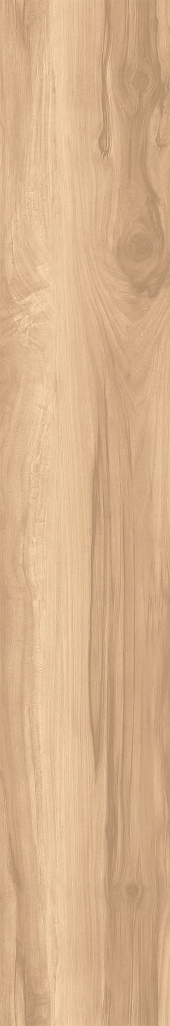 FOSSIL WOOD BRICH — фото 9