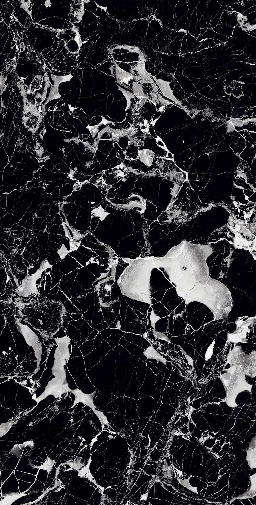 ELEGANT NERO — фото 6