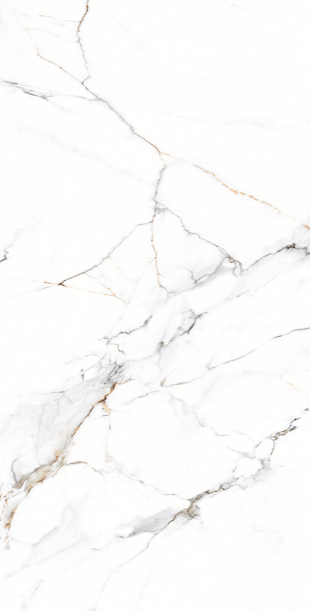 GALAXY STATUARIO — фото 7