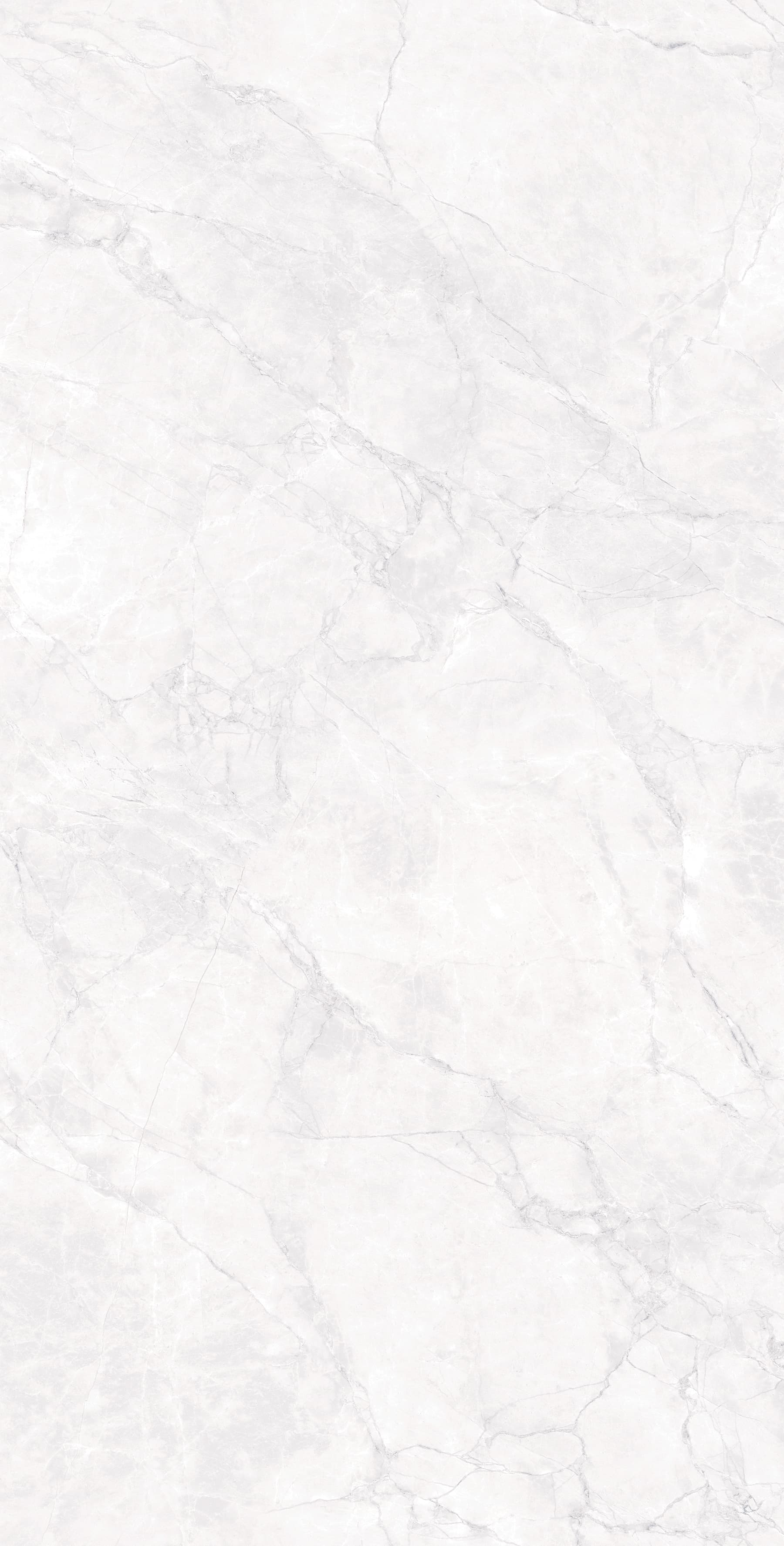 ARCTIC WHITE CARVING — фото 10